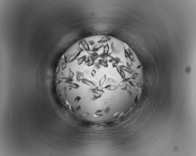 X0000102530742200808221905