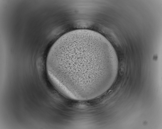 X0000102530743200808221905