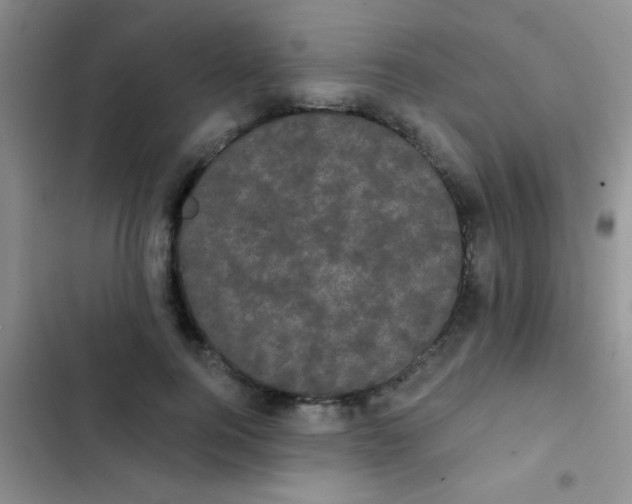 X0000102530744200808221905