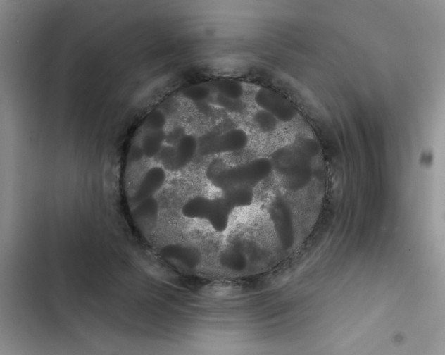 X0000102530745200808221905