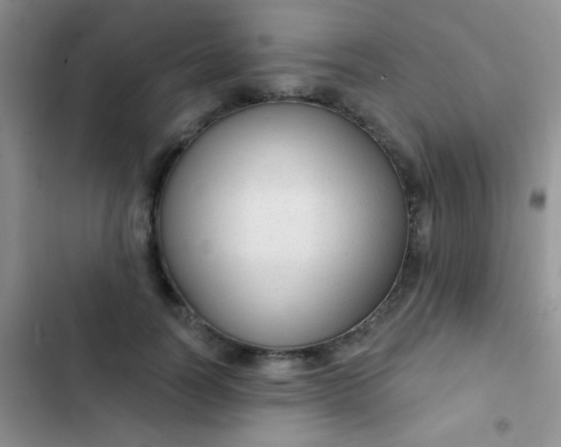 X0000102530746200808221905