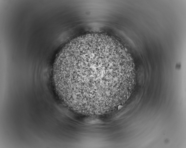 X0000102530747200808221905