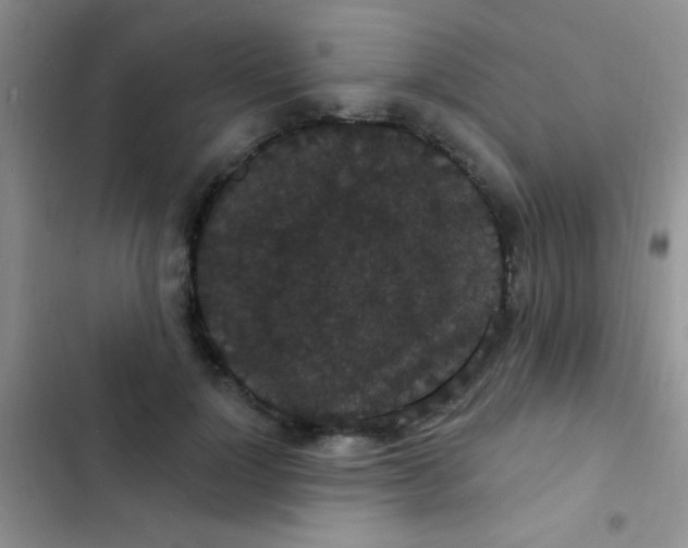 X0000102530748200808221905