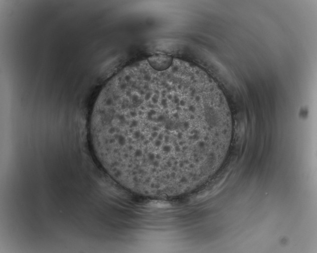 X0000102530749200808221905