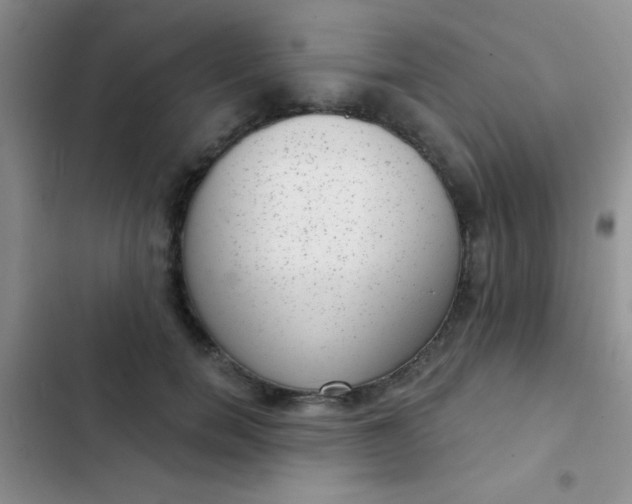 X0000102530750200808221905