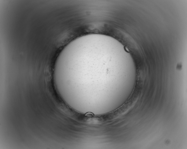 X0000102530751200808221905