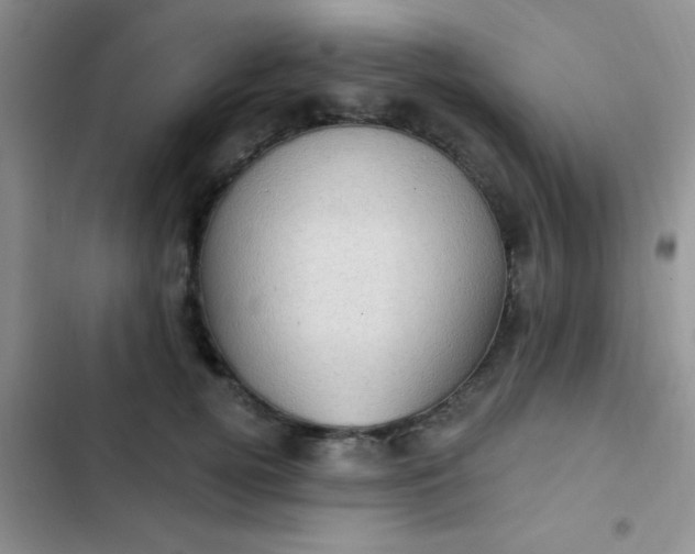 X0000102530752200808221905