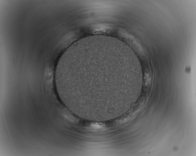 X0000102530753200808221905