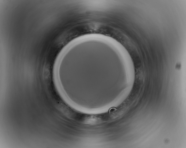 X0000102530754200808221905