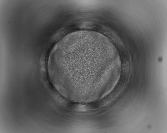 X0000102530755200808221905