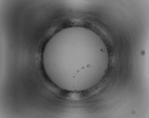 X0000102530756200808221905