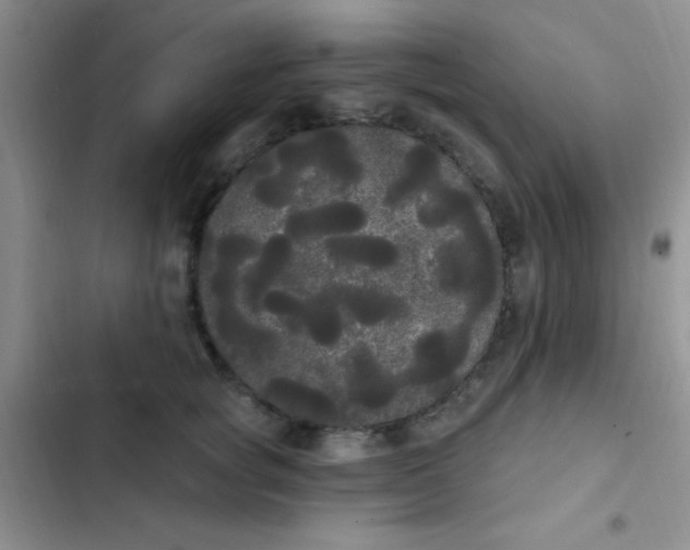 X0000102530757200808221905