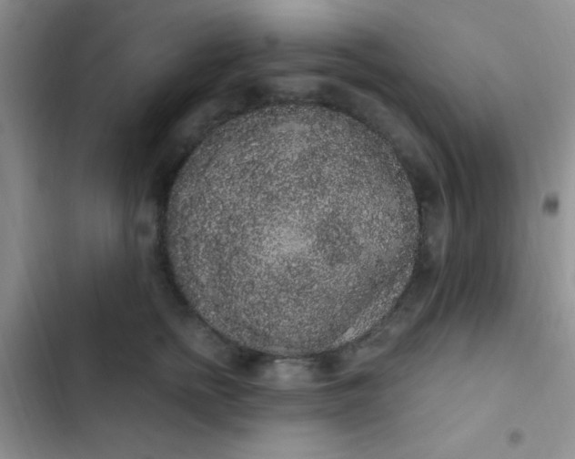 X0000102530758200808221905