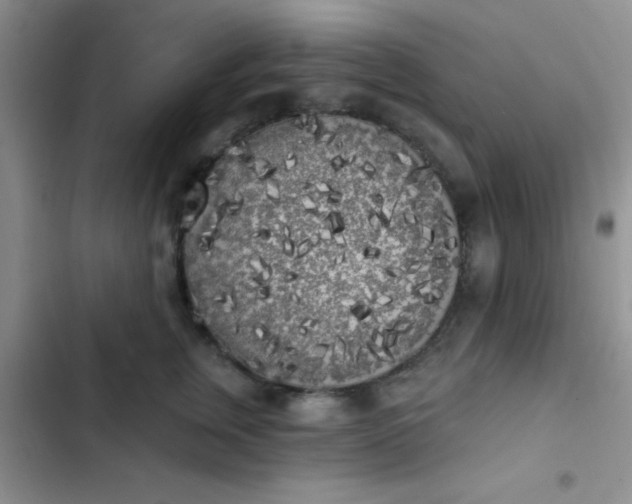 X0000102530759200808221905