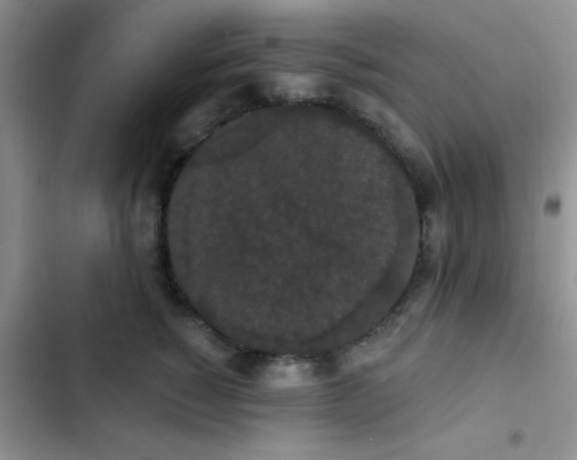 X0000102530760200808221905