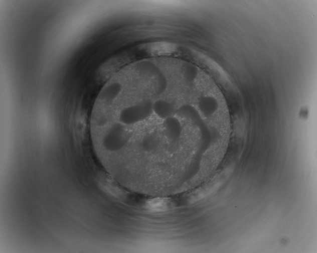 X0000102530761200808221905