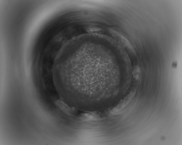 X0000102530763200808221905