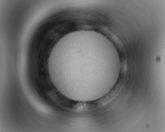 X0000102530764200808221905