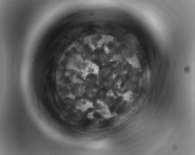 X0000102530765200808221905