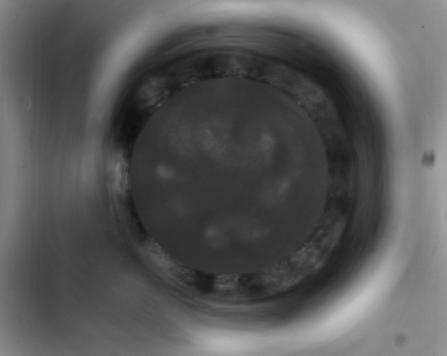 X0000102530766200808221905