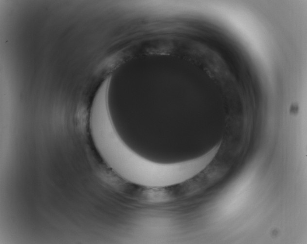 X0000102530767200808221905