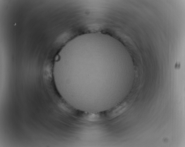 X0000102530768200808221905