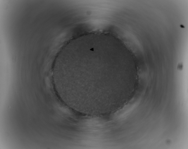 X0000102530769200808221904