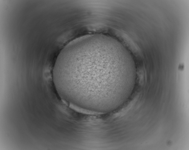 X0000102530770200808221904