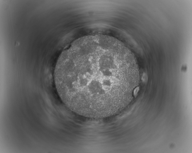 X0000102530771200808221904