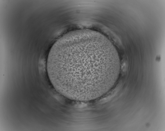 X0000102530772200808221904