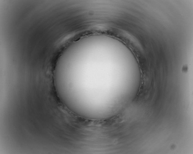 X0000102530773200808221904