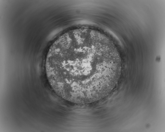 X0000102530775200808221904