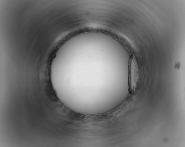 X0000102530776200808221904