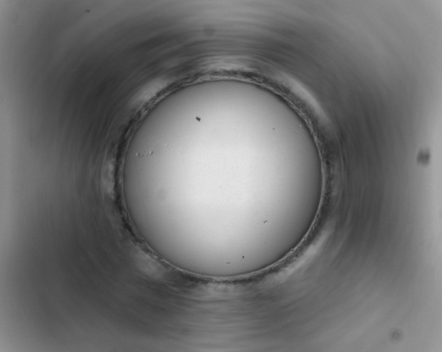 X0000102530777200808221904