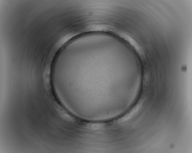 X0000102530778200808221904