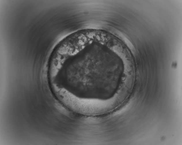 X0000102530779200808221904