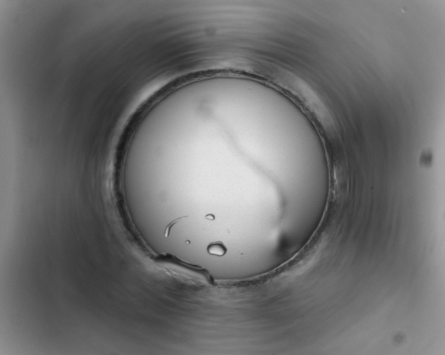 X0000102530780200808221904