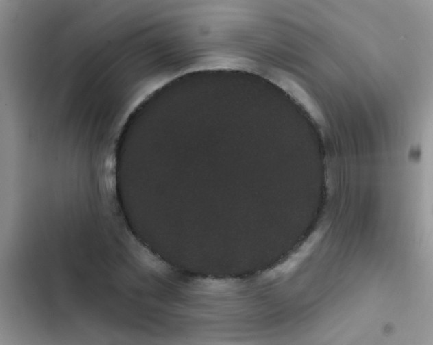 X0000102530781200808221904