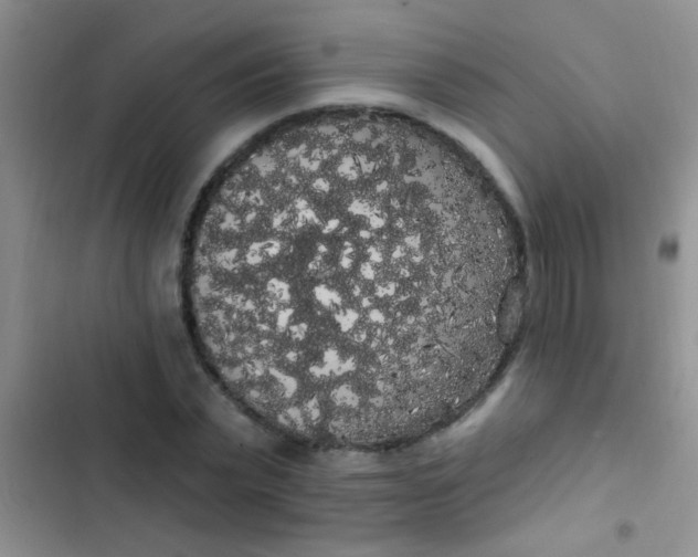 X0000102530783200808221904