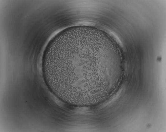 X0000102530784200808221904