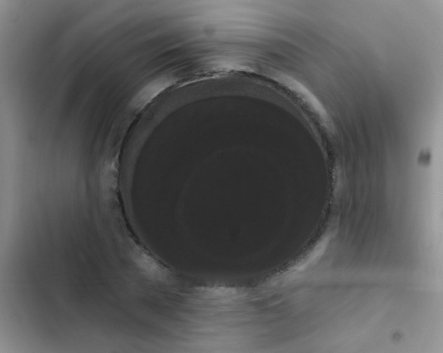 X0000102530785200808221904