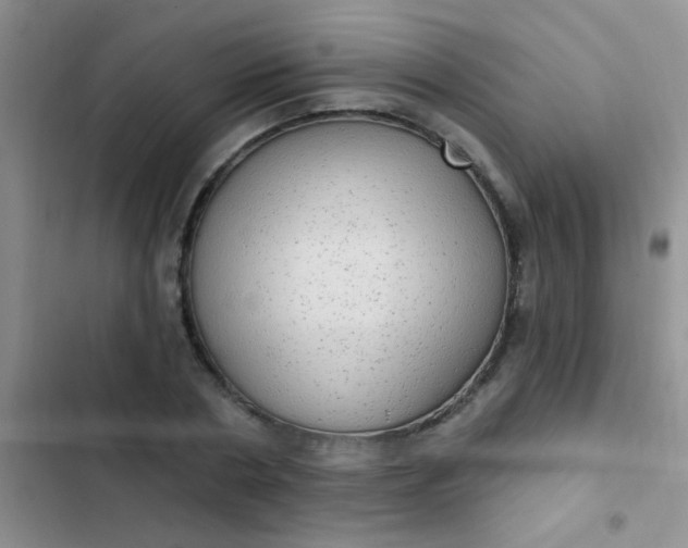 X0000102530786200808221904