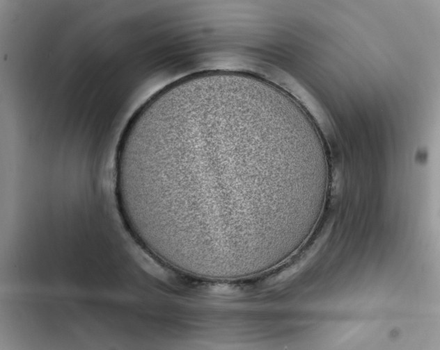 X0000102530787200808221904