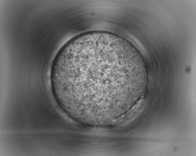 X0000102530788200808221904