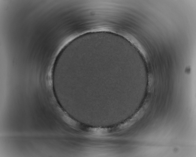 X0000102530789200808221904