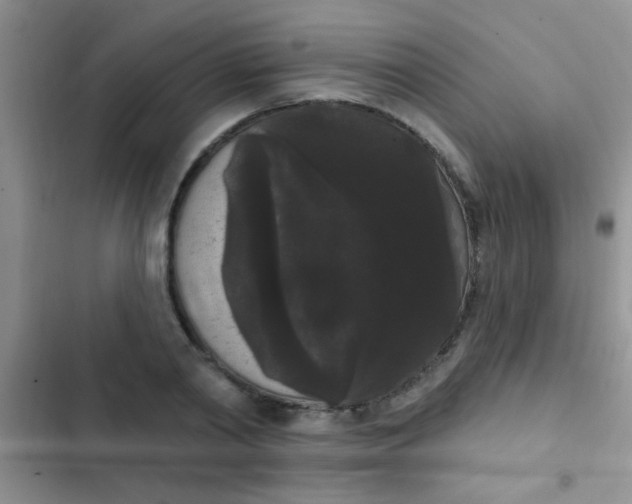 X0000102530790200808221904