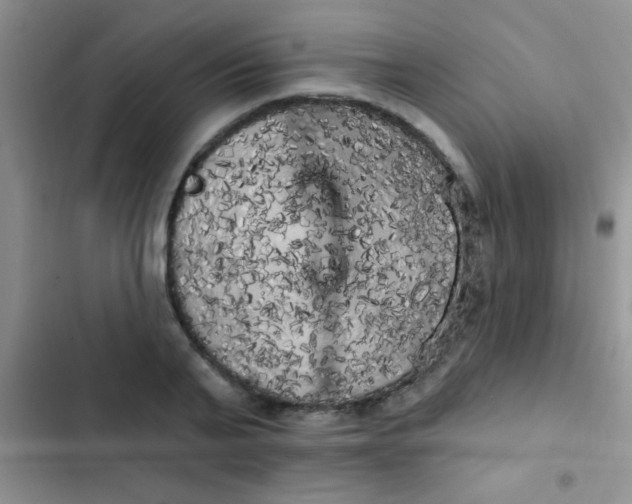 X0000102530791200808221904