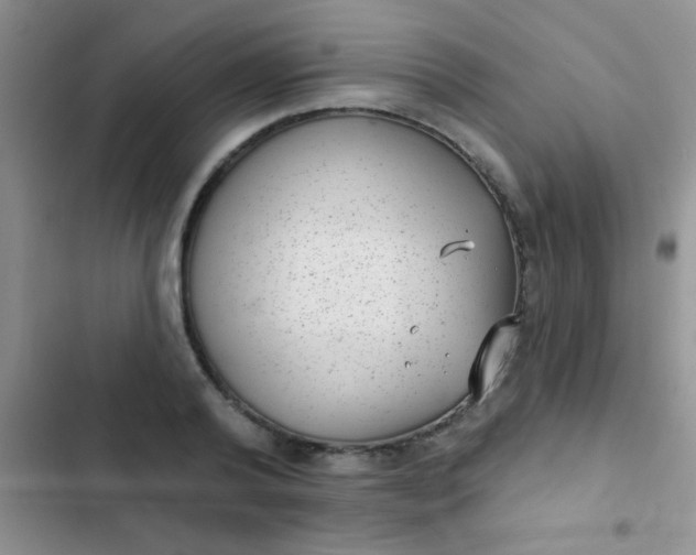 X0000102530792200808221904