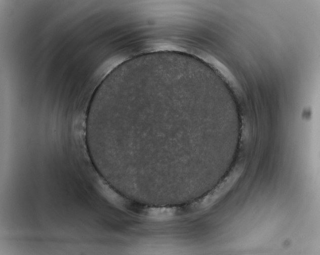 X0000102530793200808221904