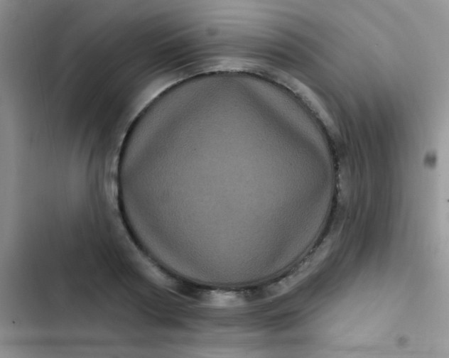 X0000102530794200808221904